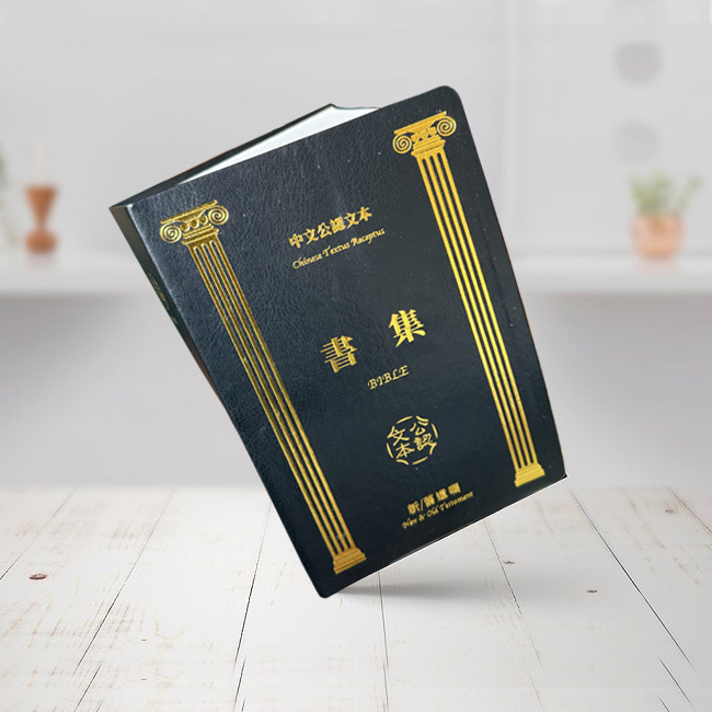 为什么读公认文本书集