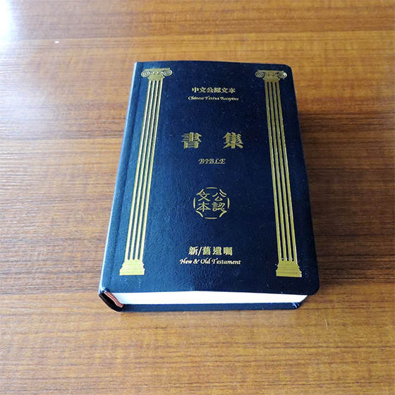 簡體中文版